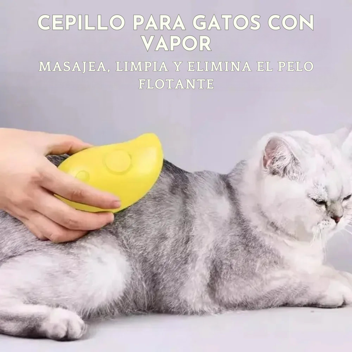 Cepillo de Vapor 3 en 1